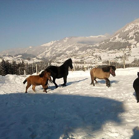Weidinghof Daire Sankt Veit im Pongau Dış mekan fotoğraf