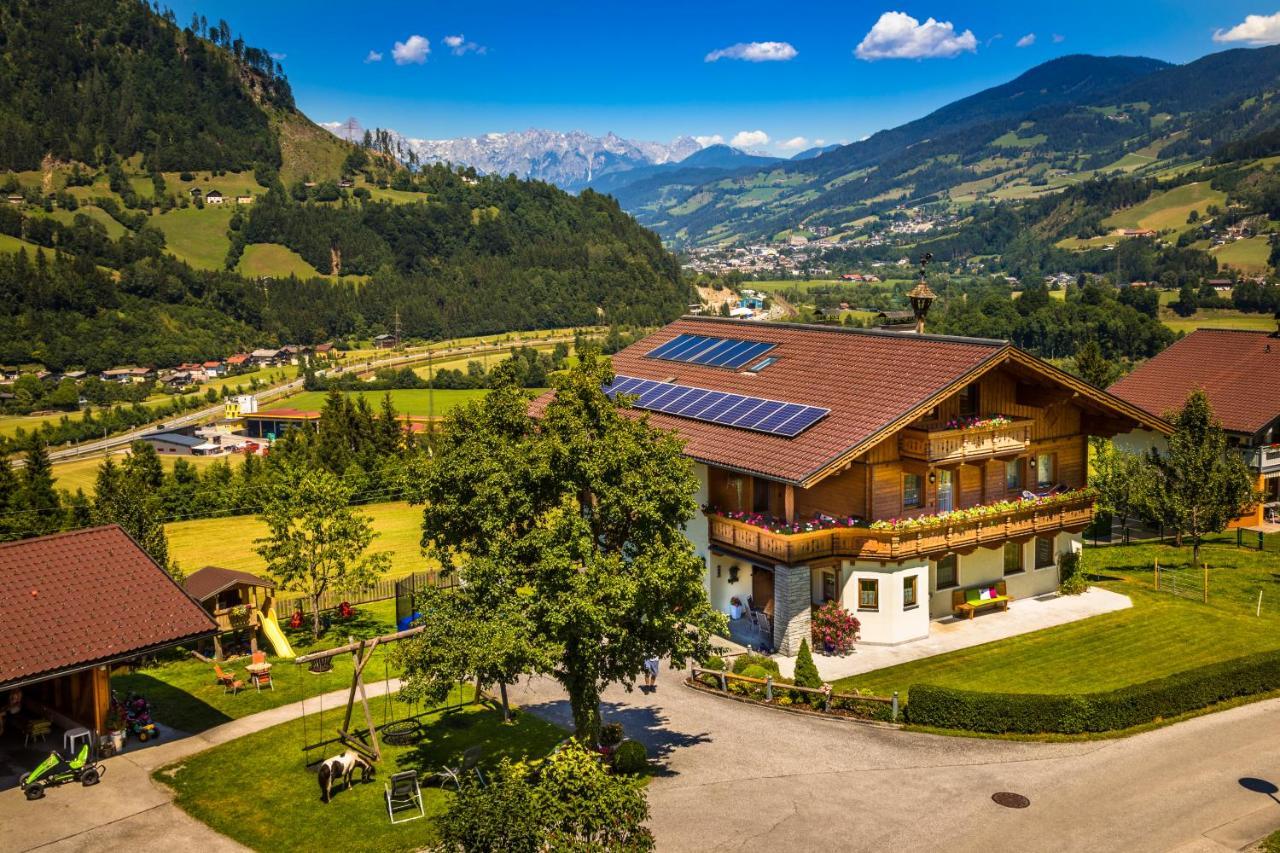 Weidinghof Daire Sankt Veit im Pongau Dış mekan fotoğraf