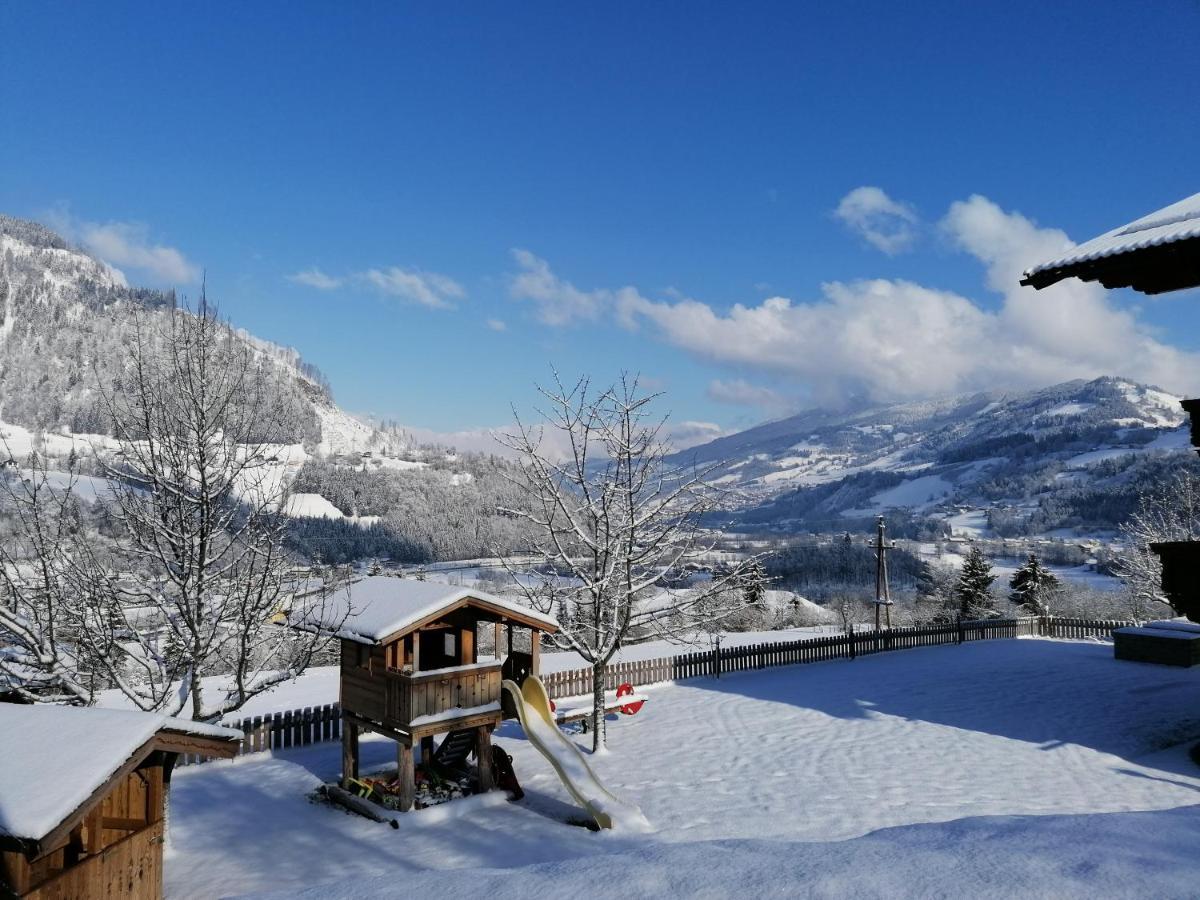 Weidinghof Daire Sankt Veit im Pongau Dış mekan fotoğraf