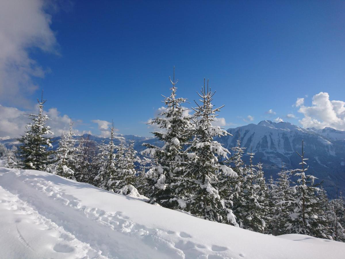 Weidinghof Daire Sankt Veit im Pongau Dış mekan fotoğraf