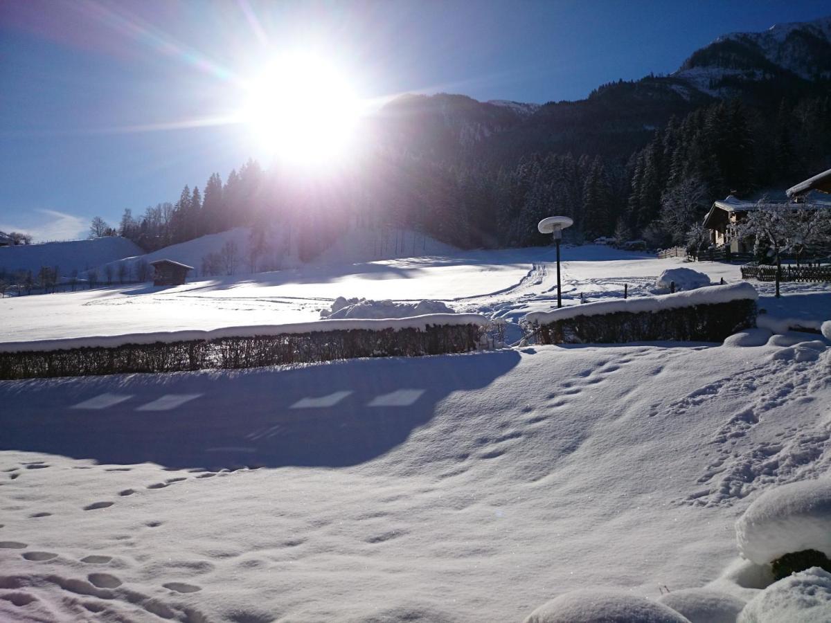 Weidinghof Daire Sankt Veit im Pongau Dış mekan fotoğraf
