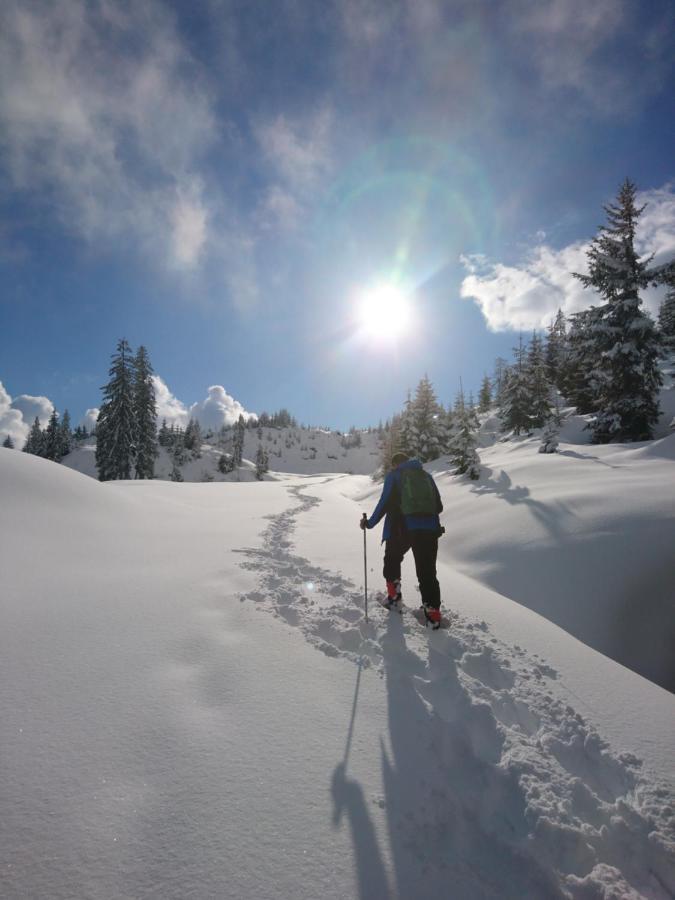 Weidinghof Daire Sankt Veit im Pongau Dış mekan fotoğraf