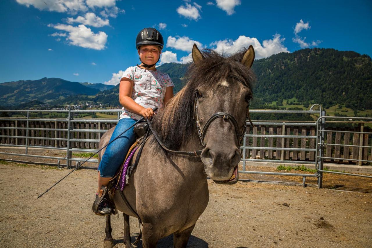 Weidinghof Daire Sankt Veit im Pongau Dış mekan fotoğraf