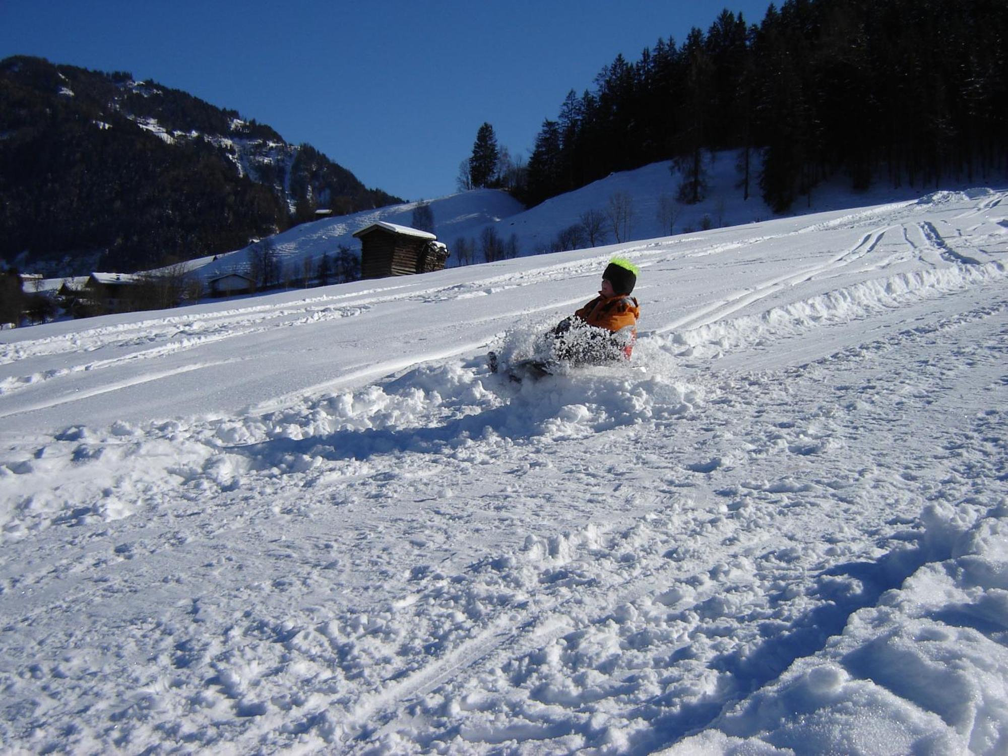 Weidinghof Daire Sankt Veit im Pongau Dış mekan fotoğraf