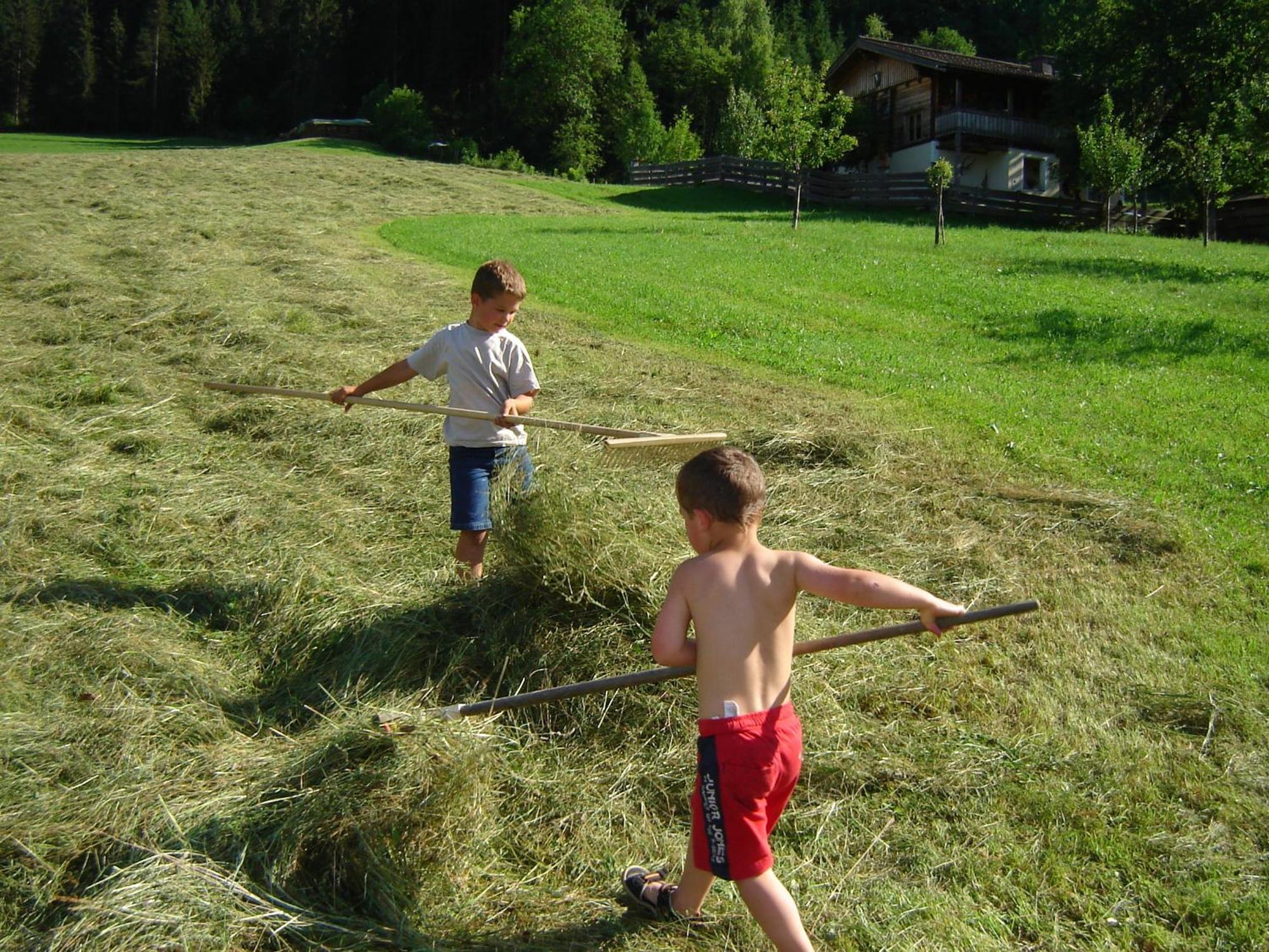 Weidinghof Daire Sankt Veit im Pongau Dış mekan fotoğraf