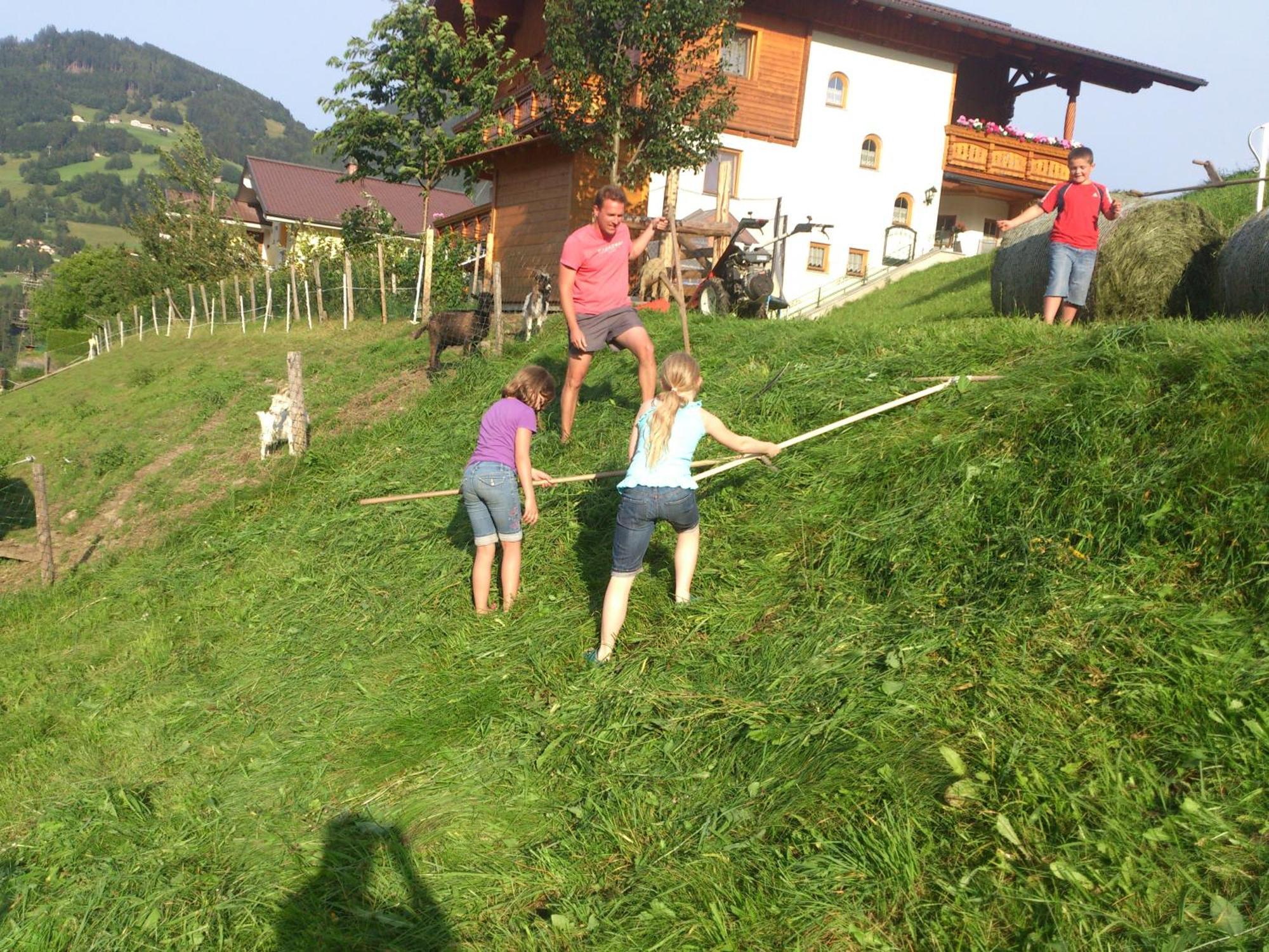 Weidinghof Daire Sankt Veit im Pongau Dış mekan fotoğraf